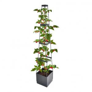 GTA32016 Tower tomato  planting pots