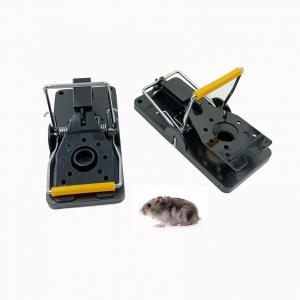GTA72002 Mouse Traps quick kill rat trap 